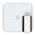 Arctic White